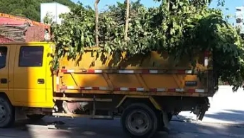 嘉定区垃圾清运