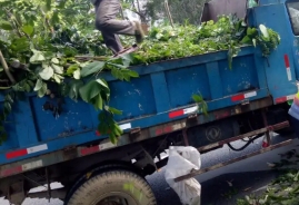 徐汇区垃圾清运